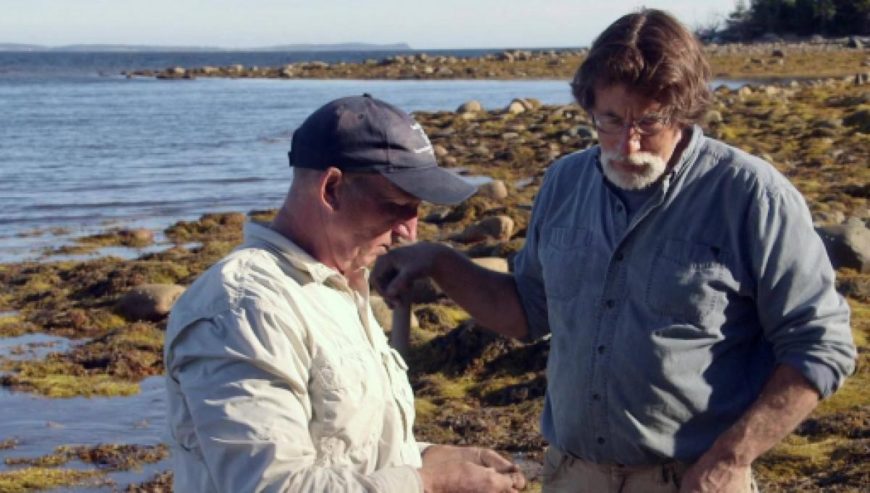 The Curse of Oak Island Season 8 Episode 22