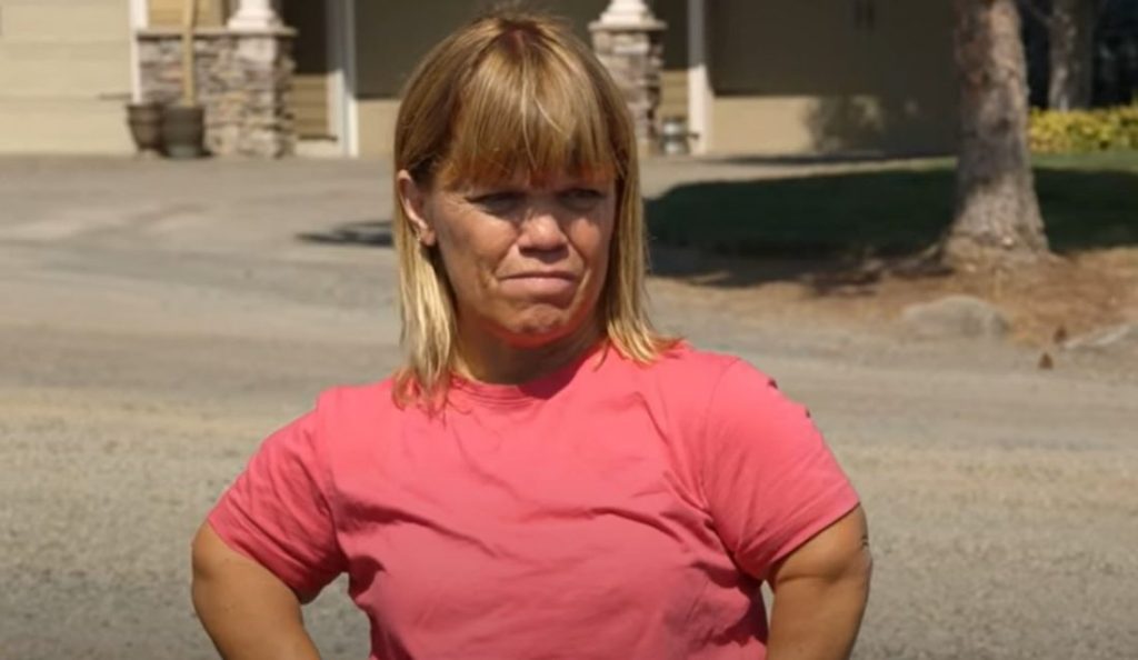 Little People Big World