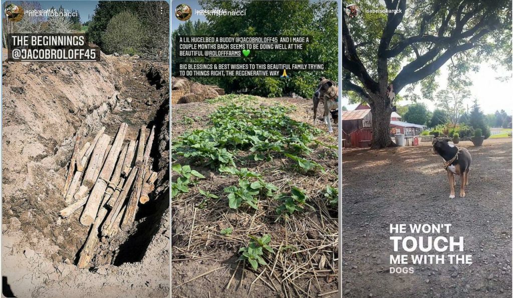 Little People Big World