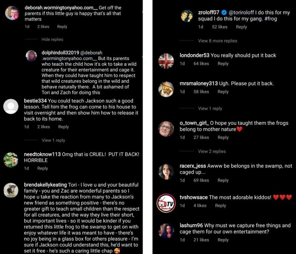 Little People Big World