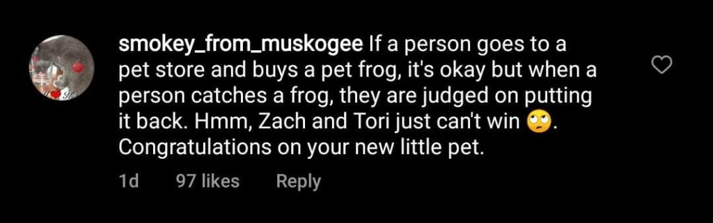 Little People Big World