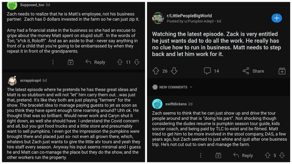 Little People Big World