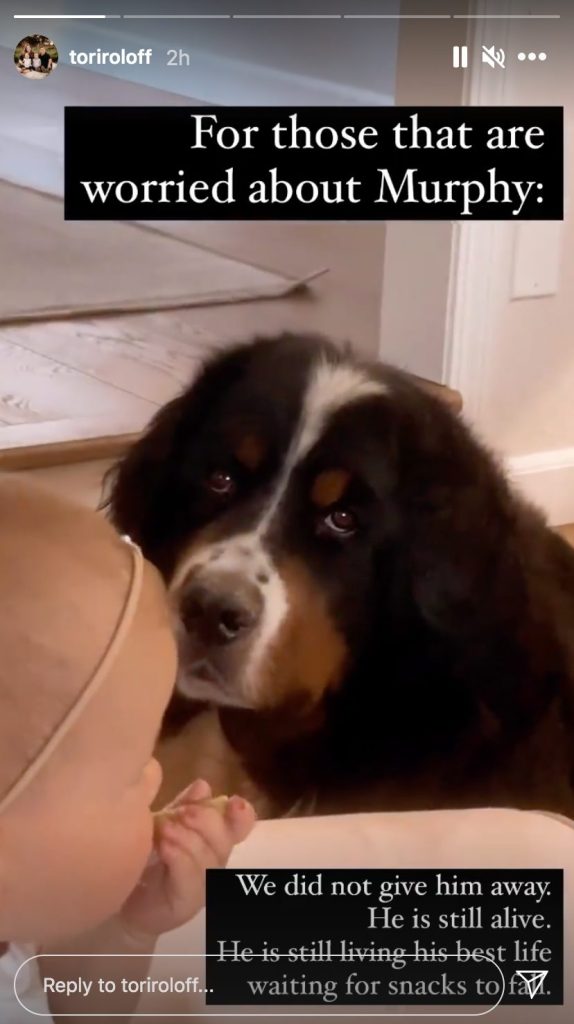 Little People Big World