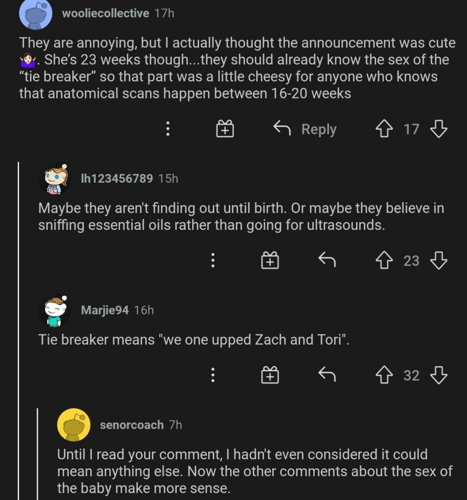 Little People Big World