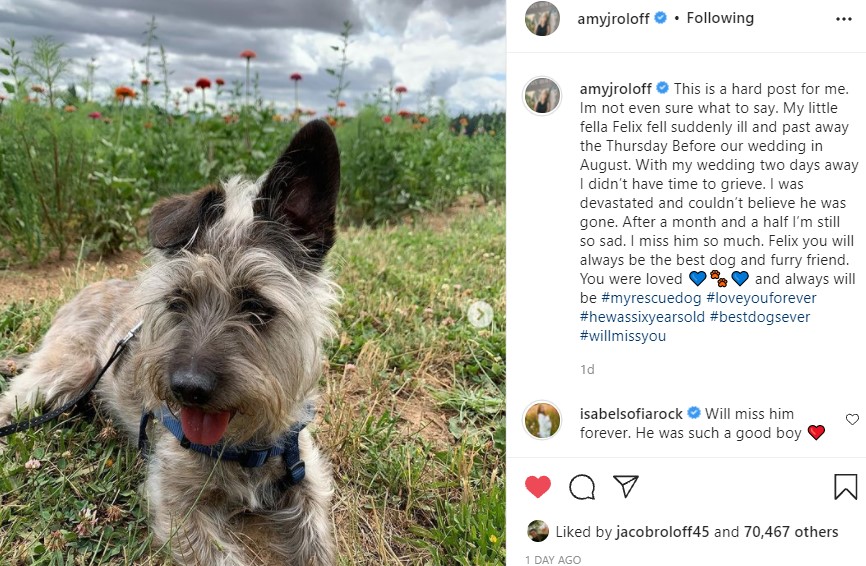 Little People Big World