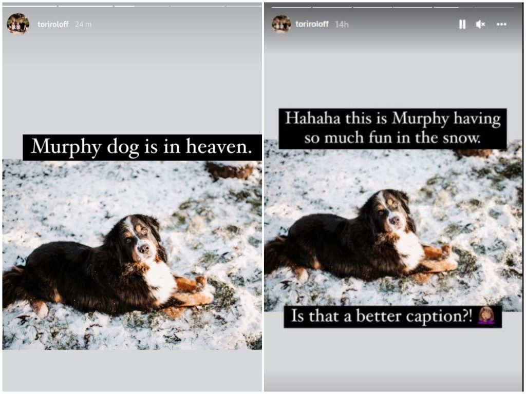 Little People Big World LPBW