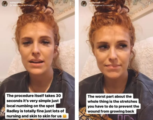 Little People Big World