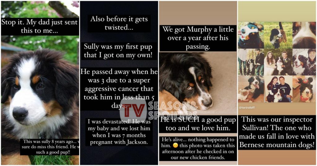 Little People Big World LPBW