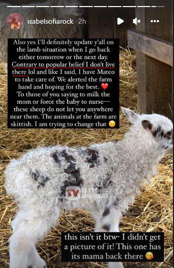 Little People Big World LPBW