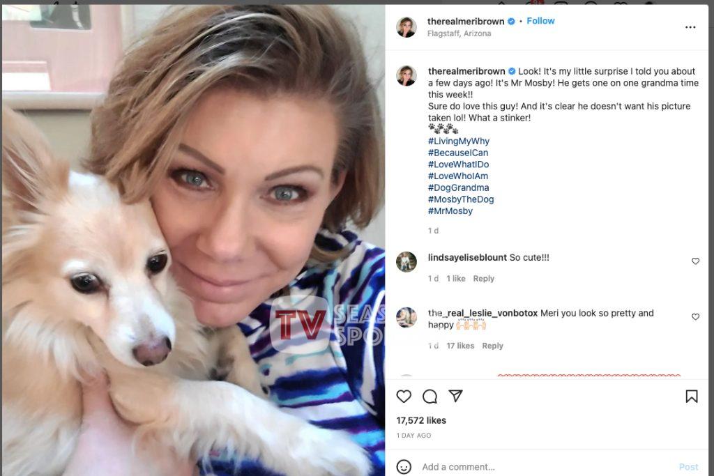 Sister Wives, Meri Brown