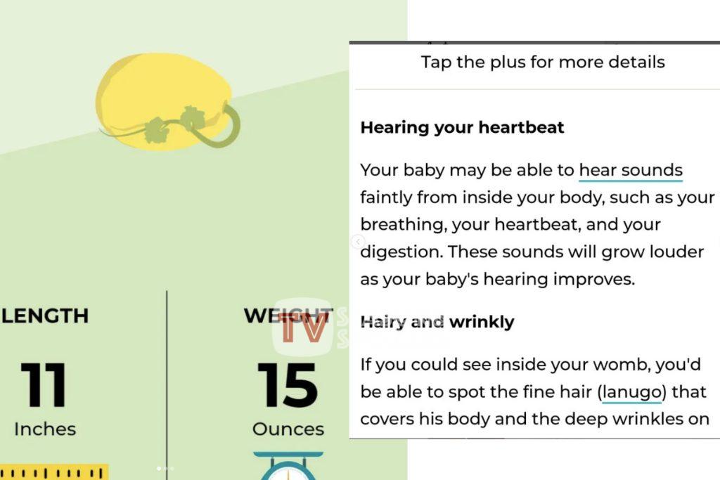 Amy Slaton, 1000 Lb Sisters