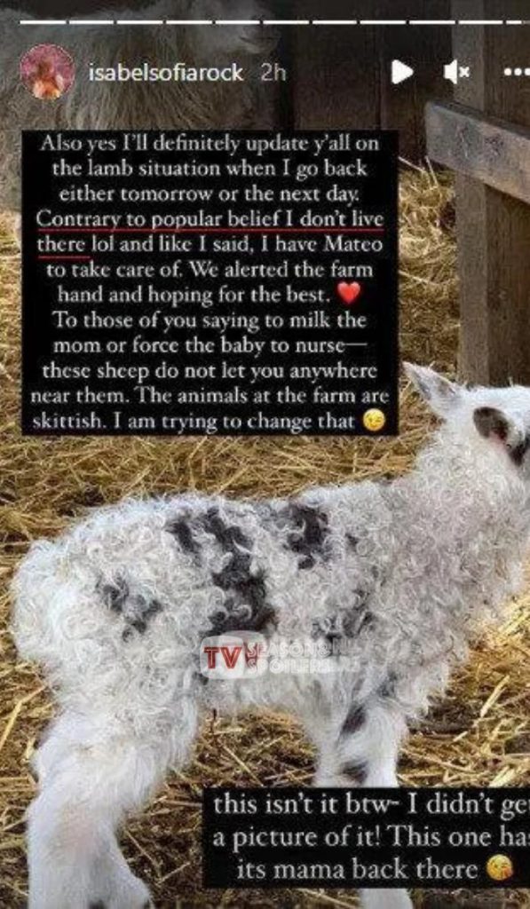 Little People Big World LPBW