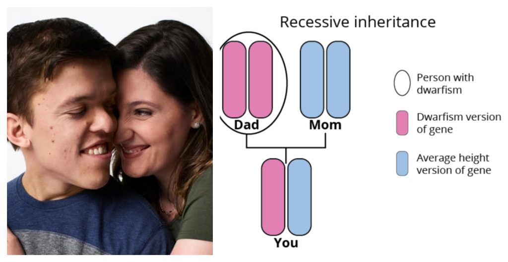 LPBW Little People Big World