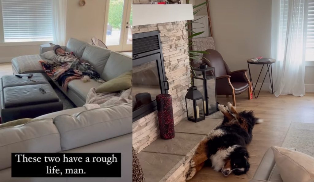 Little People Big World LPBW