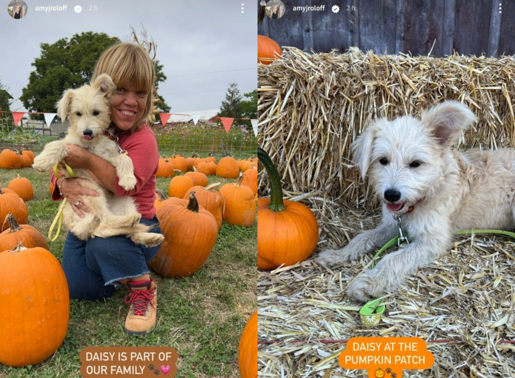 Little People Big World LPBW