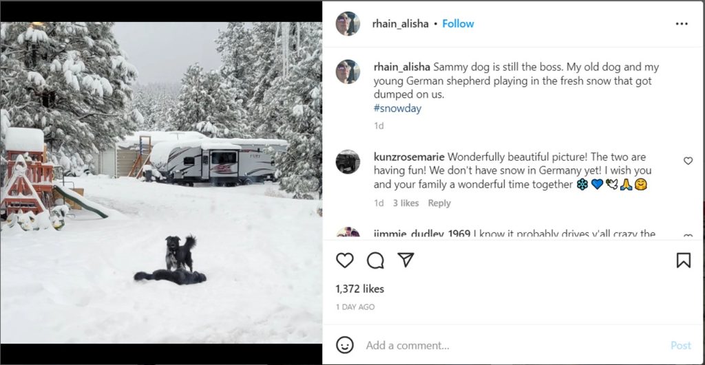 The Alaskan Bush People