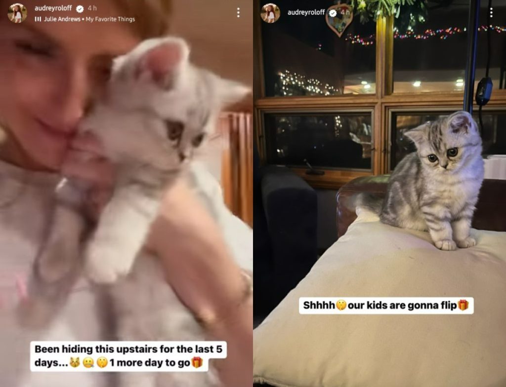 LPBW Little People Big World