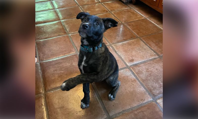 The Bold and The Beautiful