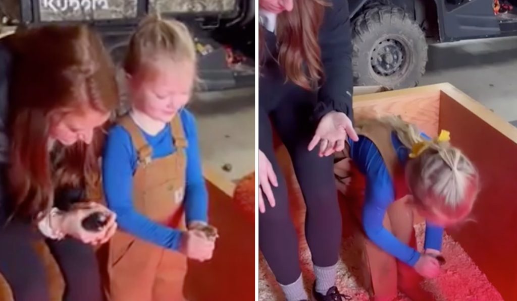 Little People Big World LPBW