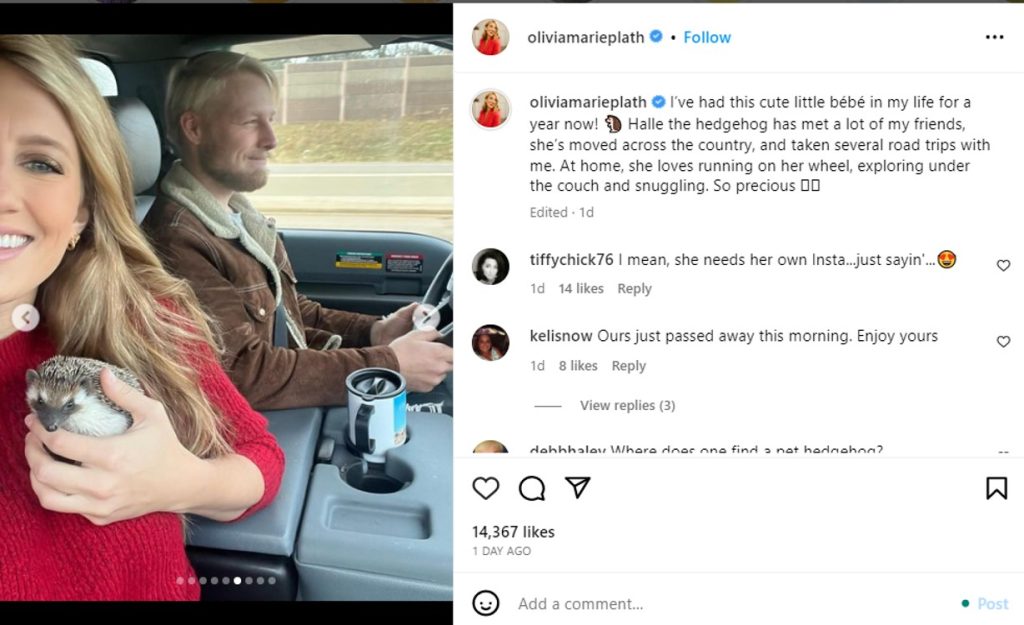 welcome to plathville