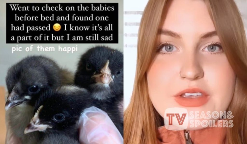 Little People Big Word LPBW