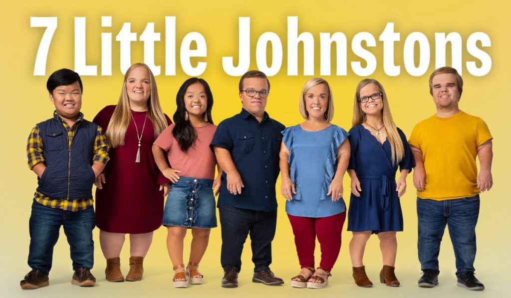7 Little Johnstons