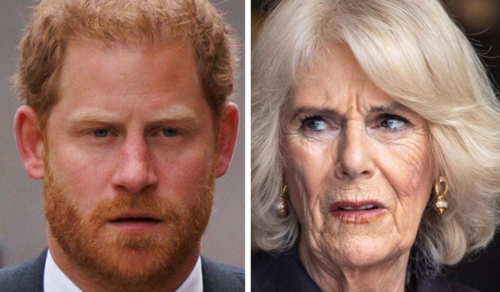 Queen-Camilla-Prince-Harry