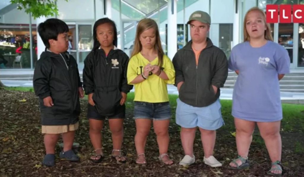 7 Little Johnstons