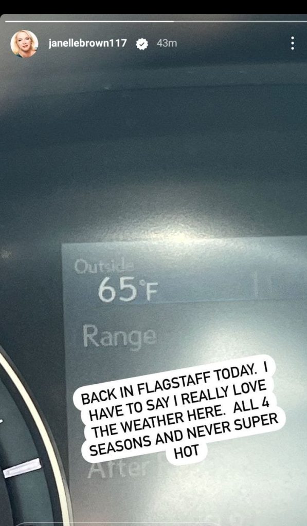 SISTER WIVES JANELLE BROWN 