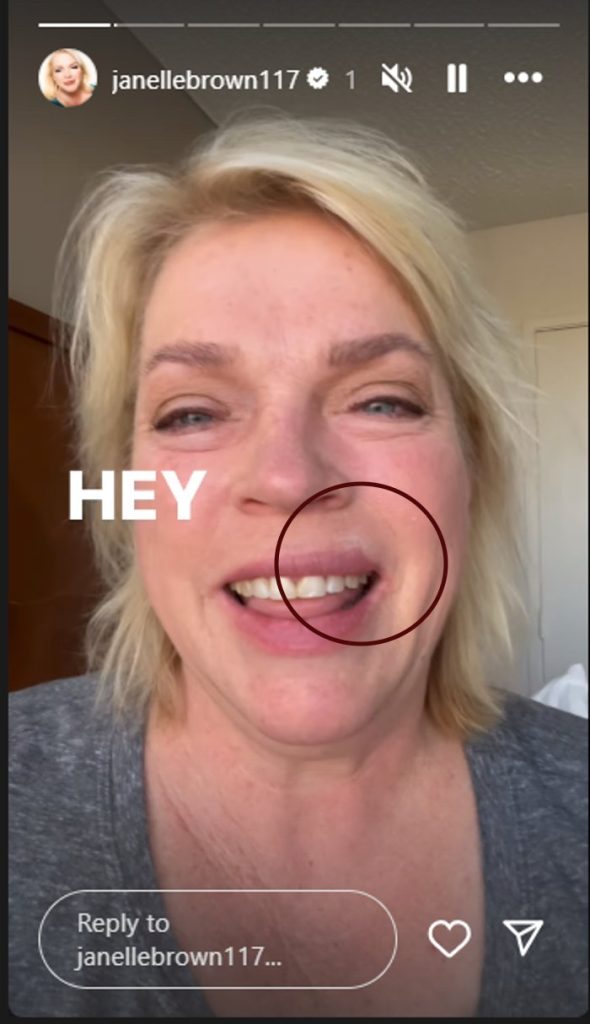 SISTER WIVES JANELLE 