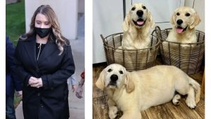 DUGGAR NEWS ANNA JOSH