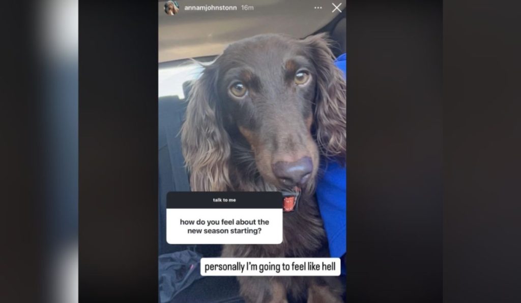 7 Little Johnstons - Anna Johnston