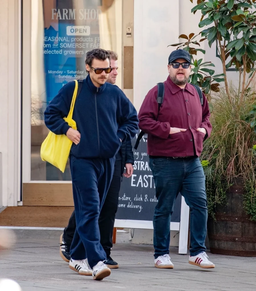 harry styles sneakers