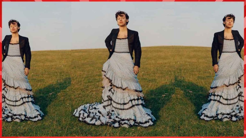 harry styles fashion