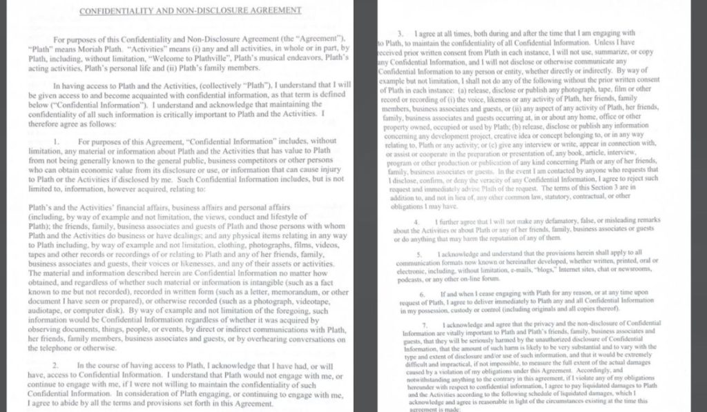 Welcome To Plathville