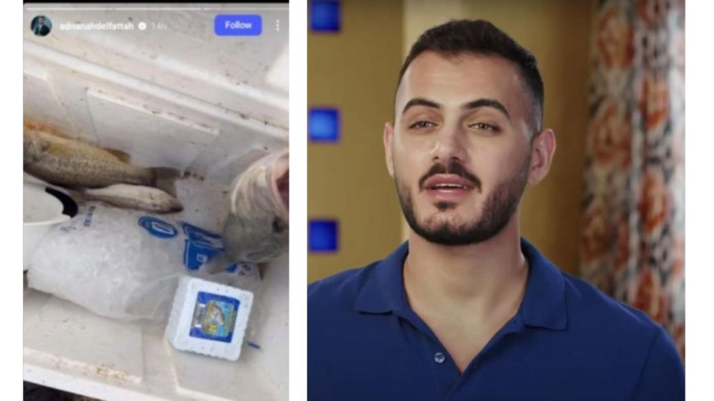 90 DAY FIANCE ADNAN