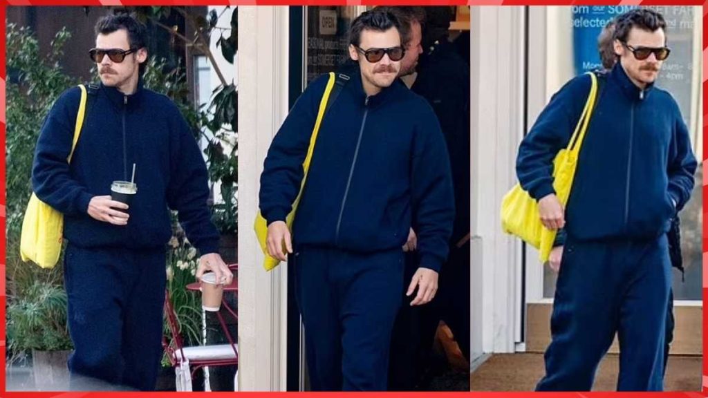 harry styles sports walrus moustache